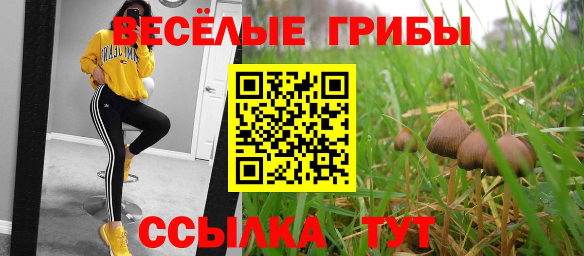 Псилоцибиновые грибы GOLDEN TEACHER Жуковский