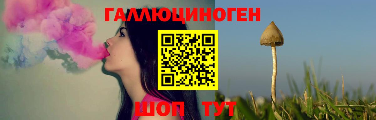 Жуковский  Псилоцибиновые грибы прущие грибы  Вход с VPN 